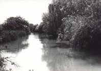 La sorgue NB